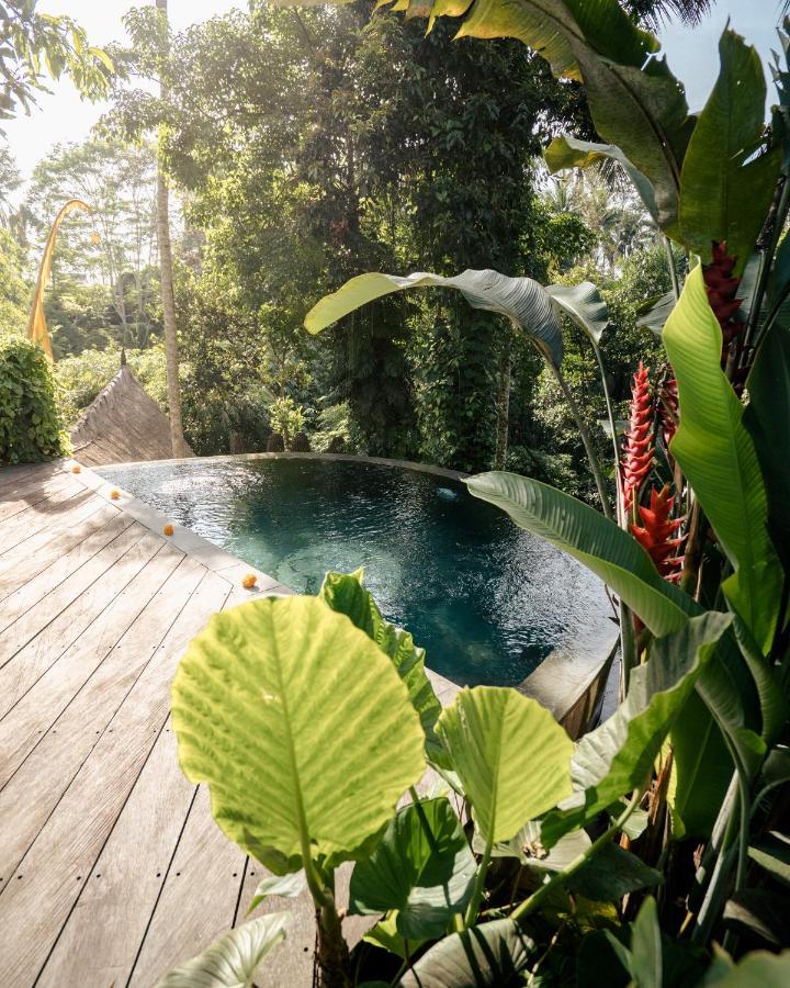 Basundari Retreat Ubud Ξενοδοχείο Εξωτερικό φωτογραφία