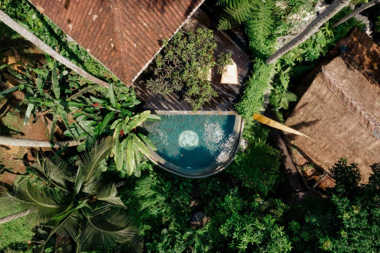 Basundari Retreat Ubud Ξενοδοχείο Εξωτερικό φωτογραφία