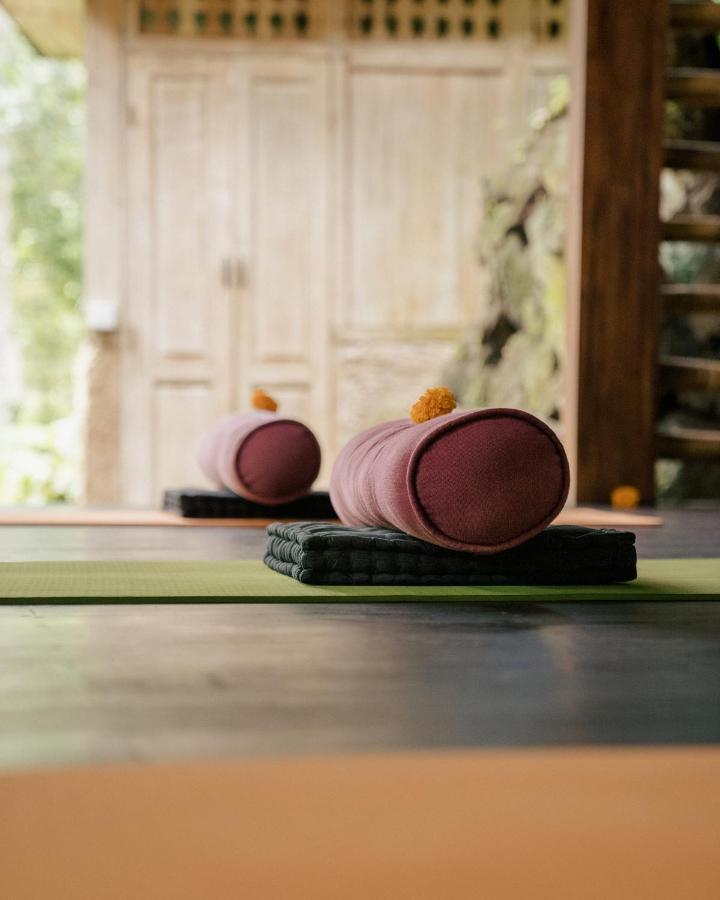Basundari Retreat Ubud Ξενοδοχείο Εξωτερικό φωτογραφία